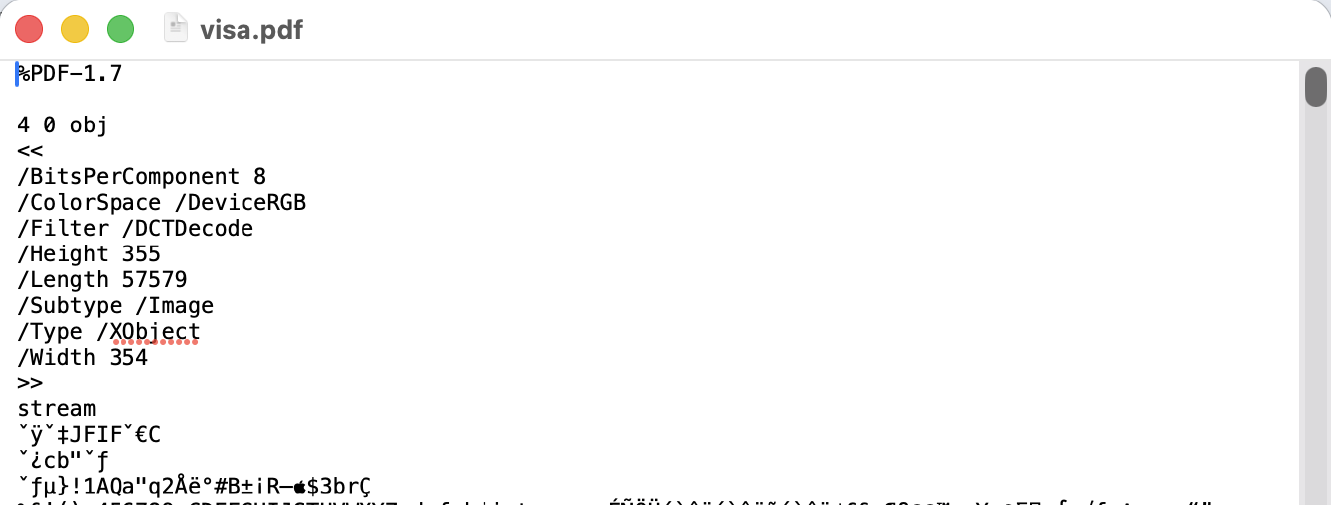 A PDF opened in a plain text editor, showing object headers such as Subtype Image and Filter DCTDecode followed by pages of unreadable binary